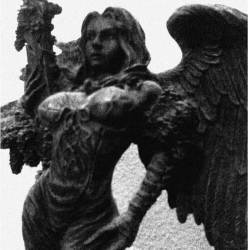 Tahazu : Tome of Moss